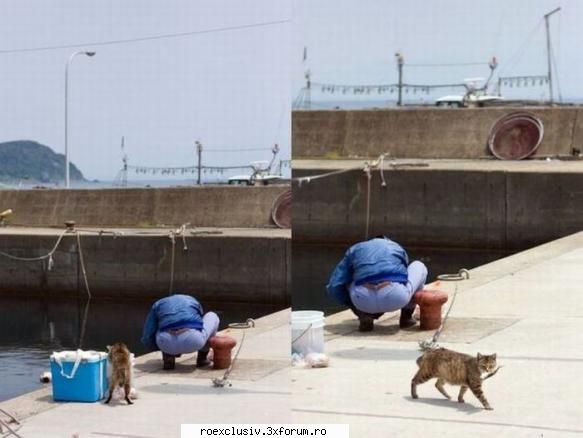 :zzz: ianuarie, 08, 2010